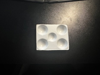 Vacuum formed paint tray